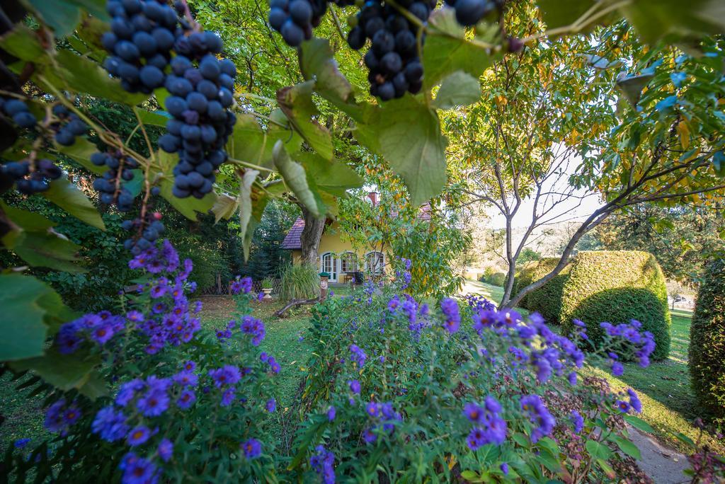 Villa Winemakers Escape Gleisdorf Esterno foto