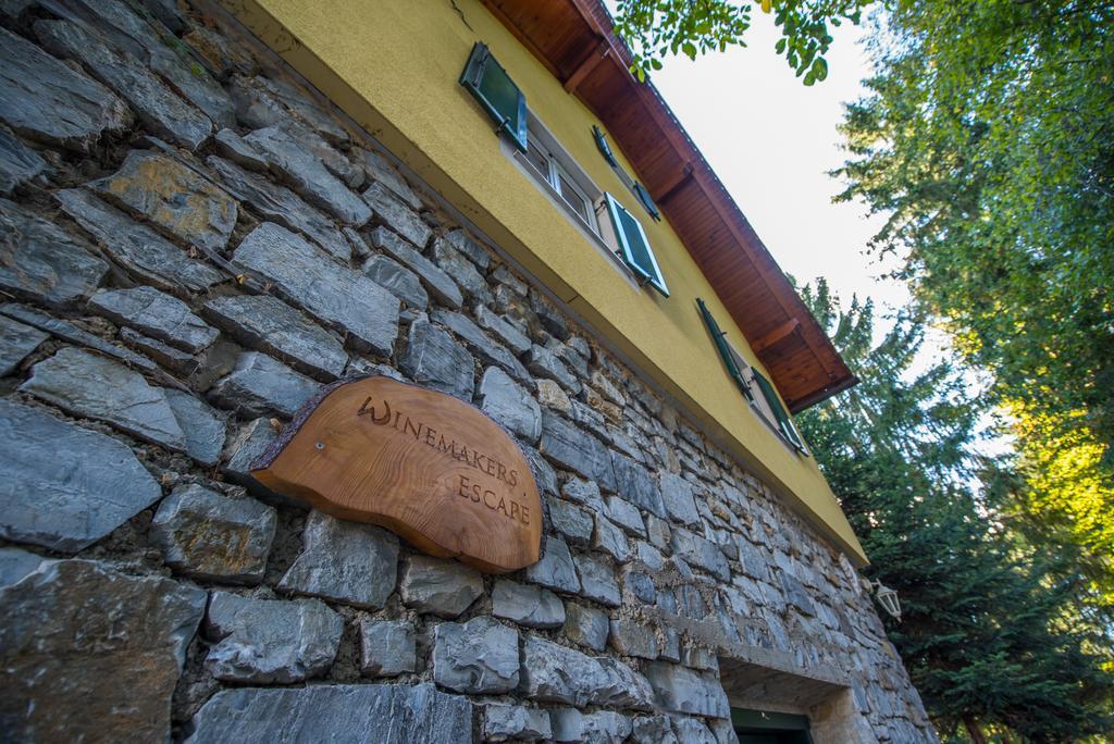 Villa Winemakers Escape Gleisdorf Esterno foto